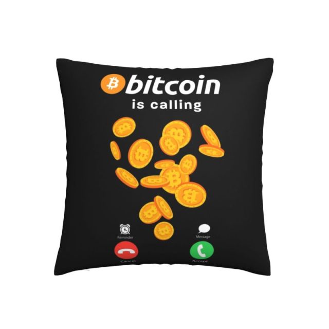Bitcoin Crypto Kissenbezüge